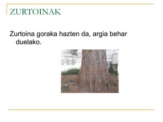 ZURTOINAK
Zurtoina goraka hazten da, argia behar
duelako.
 
