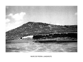 MURO DE PIEDRA .LANZAROTE