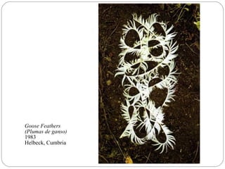 Goose Feathers
(Plumas de ganso)
1983
Helbeck, Cumbria
 