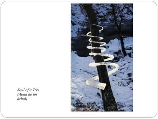 Soul of a Tree
(Alma de un
árbol)
 