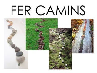 FER CAMINS 