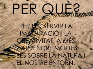 PER QUÈ? PER FER SERVIR LA IMAGINACIÓ I LA CREATIVITAT, A MÉS D’APRENDRE MOLTES COSES SOBRE LA NATURA I EL NOSTRE ENTORN. 