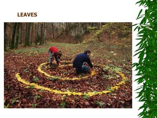 LEAVES
 