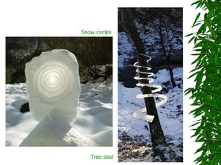 Snow circles




   Tree soul
 