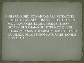 NILS UDO DIJO: CON MI CAMARA RETRATO EL
 CURSO DE LAS ESTACIONES Y SUS EFECTOS EN
 MIS CREACIONES, ELLAS CRECEN Y LUEGO
 DECAEN. EL TAMAÑO DEL FORMATO QUE EL
 ELEGIA PARA SUS FOTOGRAFIAS HACE ECO A LA
 GRANDEZA DE LOS SITIOS NATURALES DONDE
 EL TRABAJA.
 