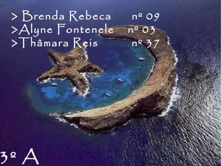 > Brenda Rebeca  nº 09 >Alyne Fontenele  nº 03 >Thâmara Reis  nº 37 3º A 