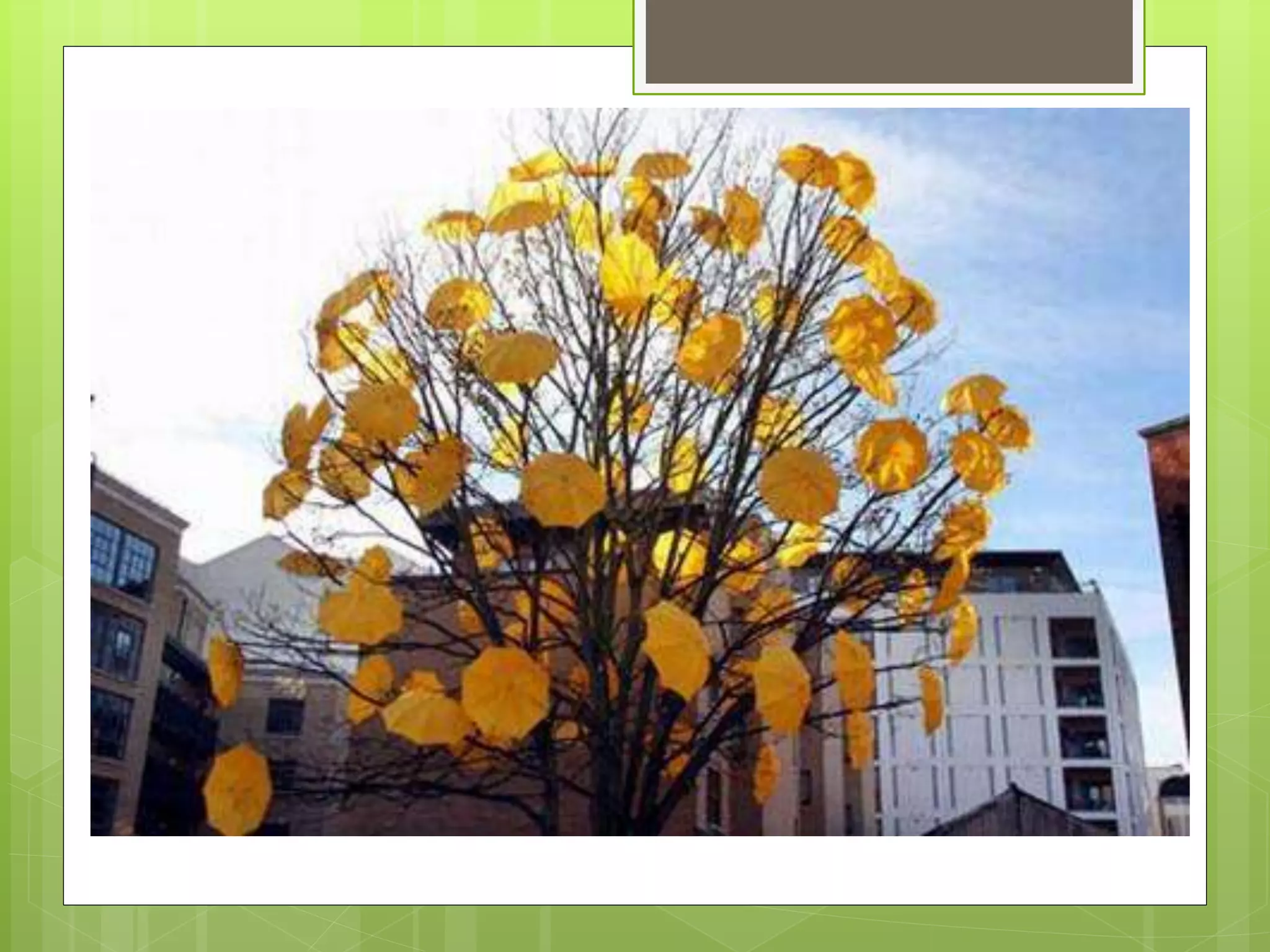 Land Art Environmental Pptx