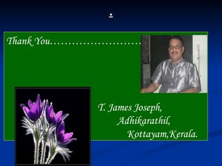 . Thank You…………………………   T. James Joseph,  Adhikarathil,   Kottayam,Kerala. 