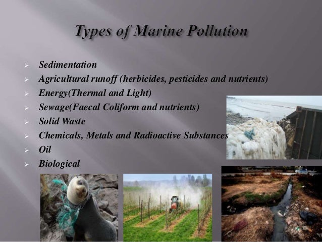 Land based sources of marine pollution