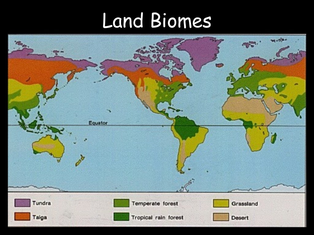 Biomes (Land)