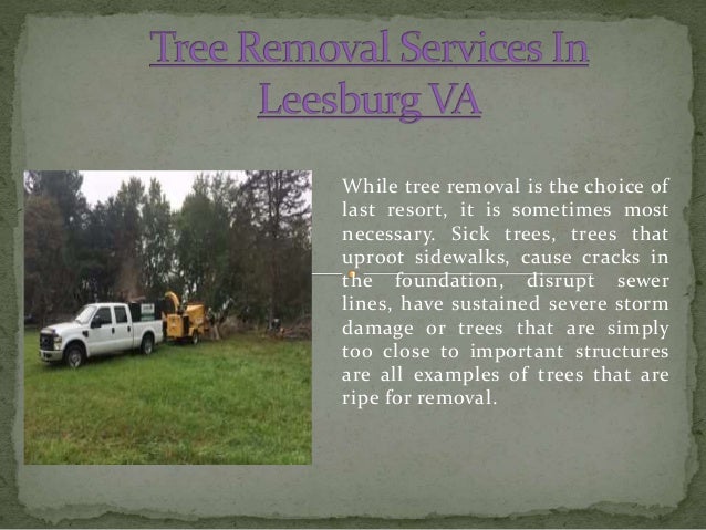 landscaping services leesburg va