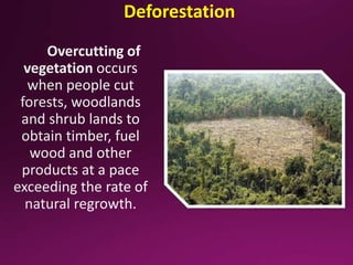 Deforestation
 