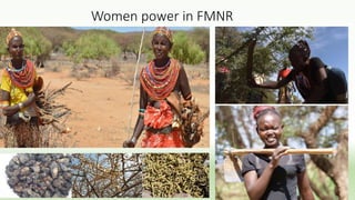 Women power in FMNR
 