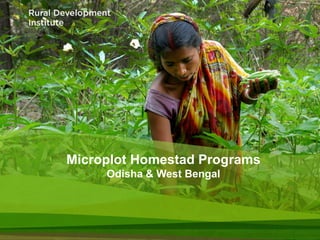 Microplot Homestad Programs
     Odisha & West Bengal
 