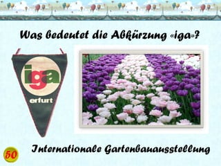 Was bedeutet die Abkürzung «iga»?

Internationale Gartenbauausstellung

 
