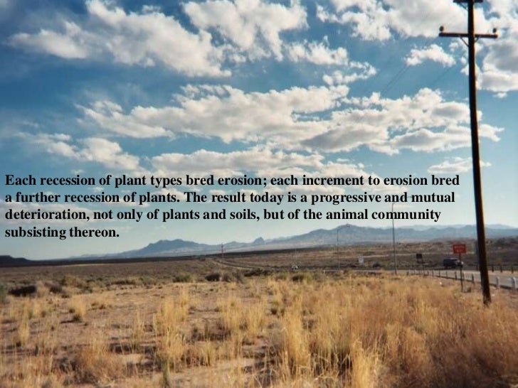 the land ethic In a sand county almanac, aldo leopold set forth his most enduring idea, the “ land ethic,” a moral responsibility of humans to the natural world. the land ethic In a sand county almanac, aldo leopold set forth his most enduring idea, the “ land ethic,” a moral responsibility of humans to the natural world.