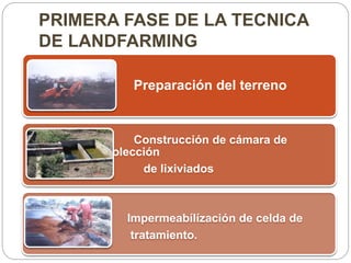 PRIMERA FASE DE LA TECNICA 
DE LANDFARMING 
Preparación del terreno 
Construcción de cámara de 
recolección 
de lixiviados 
Impermeabílízación de celda de 
tratamiento. 
 