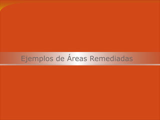 Ejemplos de Áreas Remediadas 
 
