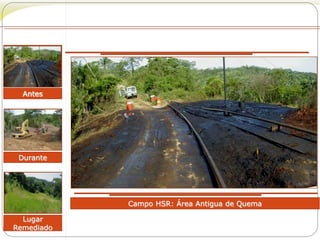 Durante 
Lugar 
Remediado 
Campo HSR: Área Antigua de Quema 
Antes 
 