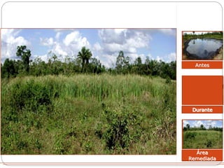 Antes 
Durante 
Área 
Remediada 
 