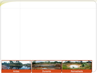 Antes Durante Remediada 
 