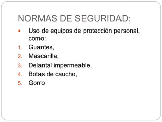 NORMAS DE SEGURIDAD: 
 Uso de equipos de protección personal, 
como: 
1. Guantes, 
2. Mascarilla, 
3. Delantal impermeable, 
4. Botas de caucho, 
5. Gorro 
 