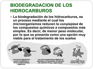 BIODEGRADACION DE LOS 
HIDROCARBUROS 
 La biodegradación de los hidrocarburos, es 
un proceso mediante el cual los 
microorganismos reducen la complejidad de 
los compuestos químicos a compuestos más 
simples. Es decir, de menor peso molecular, 
por lo que se presenta como una opción muy 
viable para el tratamiento de los suelos 
contaminados con hidrocarburos 
 