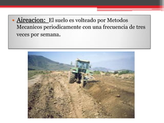 • Aireacion: El suelo es volteado por Metodos
Mecanicos periodicamente con una frecuencia de tres
veces por semana.
 
