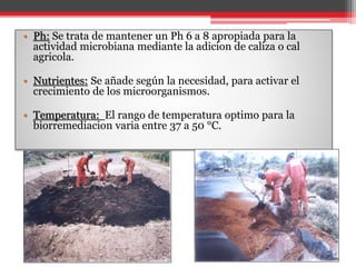 • Ph: Se trata de mantener un Ph 6 a 8 apropiada para la
actividad microbiana mediante la adicion de caliza o cal
agricola.
• Nutrientes: Se añade según la necesidad, para activar el
crecimiento de los microorganismos.
• Temperatura: El rango de temperatura optimo para la
biorremediacion varia entre 37 a 50 °C.
 