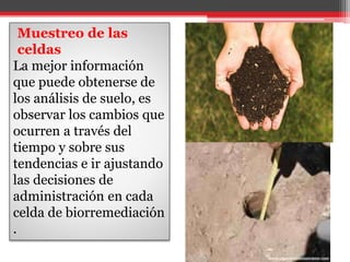 Muestreo de las
celdas
La mejor información
que puede obtenerse de
los análisis de suelo, es
observar los cambios que
ocurren a través del
tiempo y sobre sus
tendencias e ir ajustando
las decisiones de
administración en cada
celda de biorremediación
.
 