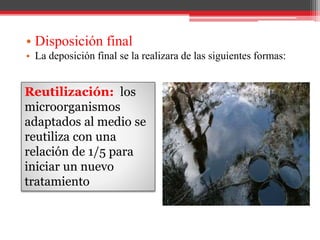 • Disposición final
• La deposición final se la realizara de las siguientes formas:
Reutilización: los
microorganismos
adaptados al medio se
reutiliza con una
relación de 1/5 para
iniciar un nuevo
tratamiento
 