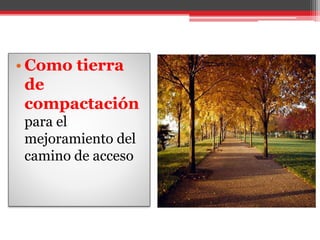 • Como tierra
de
compactación
para el
mejoramiento del
camino de acceso
 