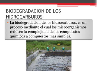 BIODEGRADACION DE LOS
HIDROCARBUROS
• La biodegradacion de los hidrocarburos, es un
proceso mediante el cual los microorganismos
reducen la complejidad de los compuestos
quimicos a compuestos mas simples.
 