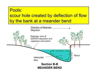 Point bar: zone of
sediment deposition and
vegetative colonization
Direction of Meander
Migration
Helicoidal
flow
Scour
Section B-B
MEANDER BEND
Pools:
scour hole created by deflection of flow
by the bank at a meander bend
 