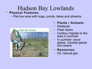 Hudson Bay Lowlands
• Physical Features:
   – Flat low area with bogs, ponds, lakes and streams

                                  • Plants / Animals:
                                  – Wetlands
                                  – Polar bears
                                  – Caribou migrate to the
                                    area in summer
                                  – In summer -snow
                                    geese, Canada geese
                                    and swans
                                  • Resources:
                                  – Oil, natural gas
 