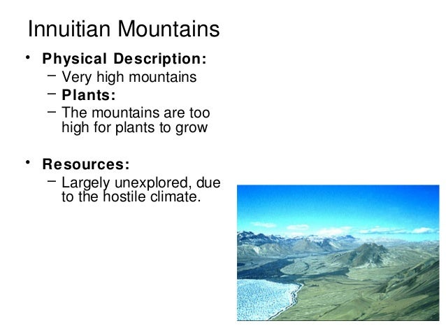 What is the vegetation of the Innuitian Mountains?