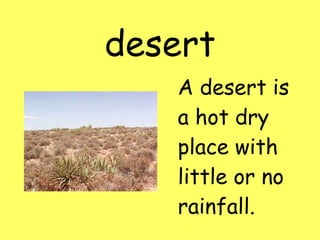 desert A desert is a hot dry place with little or no rainfall.