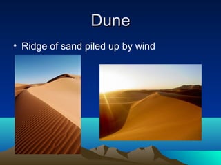 Dune
• Ridge of sand piled up by wind
 