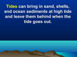 Tides can bring in sand, shells,
and ocean sediments at high tide
and leave them behind when the
tide goes out.

 