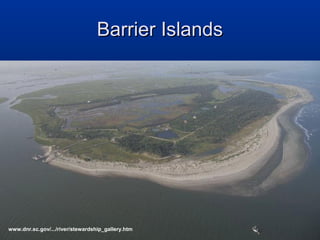 Barrier Islands

www.dnr.sc.gov/.../river/stewardship_gallery.htm

 