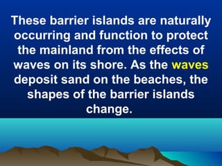 These barrier islands are naturally
occurring and function to protect
the mainland from the effects of
waves on its shore. As the waves
deposit sand on the beaches, the
shapes of the barrier islands
change.

 