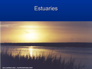 Estuaries

serc.carleton.edu/.../northinlet/index.html

 