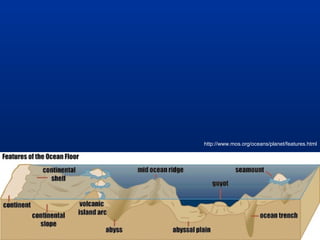 http://www.mos.org/oceans/planet/features.html

 