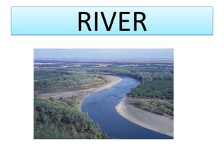 RIVER
 
