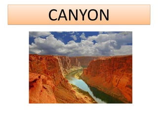CANYON
 