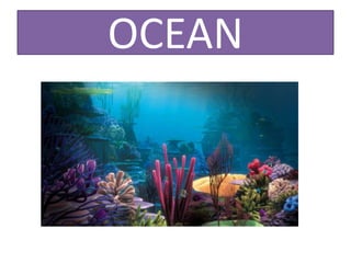 OCEAN
 