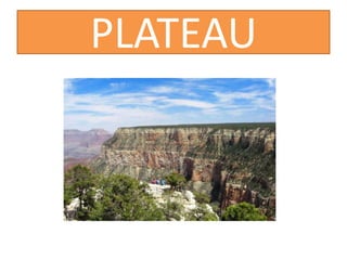 PLATEAU
 