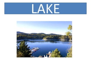 LAKE
 