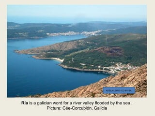 Ría is a galician word for a river valley flooded by the sea .
Picture: Cée-Corcubión, Galicia
ADELA LEIRO- CC-BY-SA
 