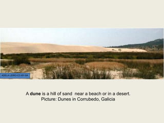 A dune is a hill of sand near a beach or in a desert.
Picture: Dunes in Corrubedo, Galicia
ADELA LEIRO-CC-BY-SA
 
